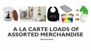 New Overstock A La Carte Loads of Assorted Merchandise