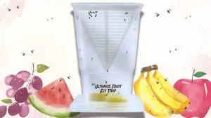 New Overstock Manifested Load of The Ultimate Fruit Fly Trap