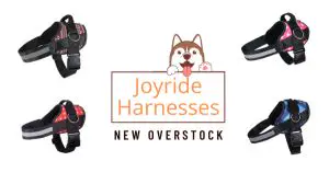 New Overstock Loads of Joyride Harnesses
